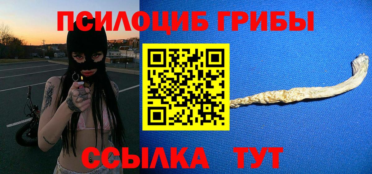Псилоцибиновые грибы мицелий  Вход с VPN  Луга  Галлюциногенные грибы Psilocybine cubensis 