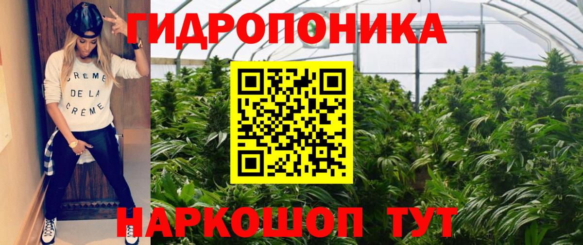 Каннабис Луга